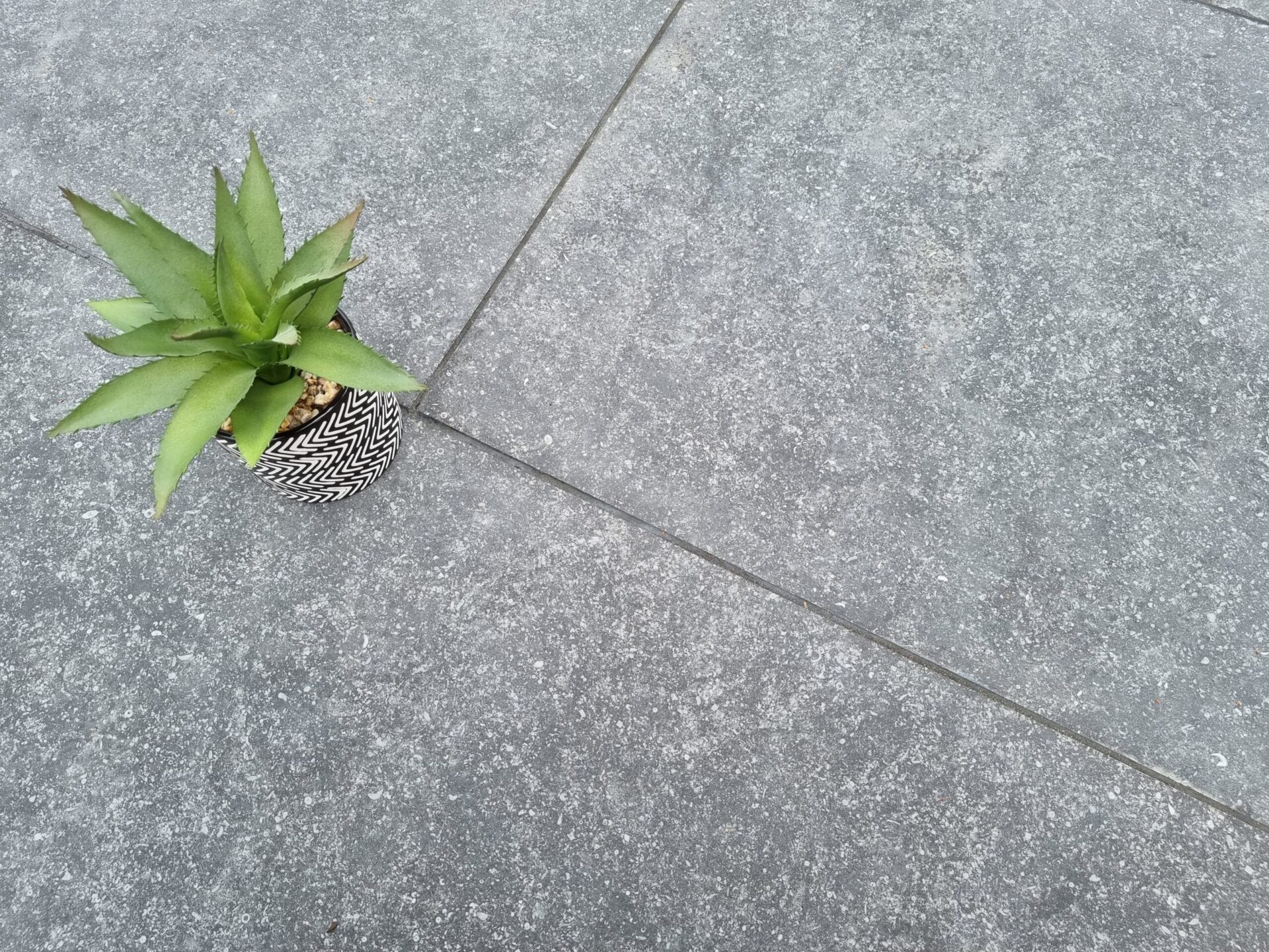 (Sample) - Lava Black